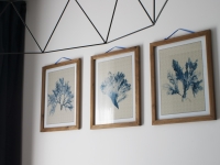 irs_royal_apartments_pelagus_gdansk_09